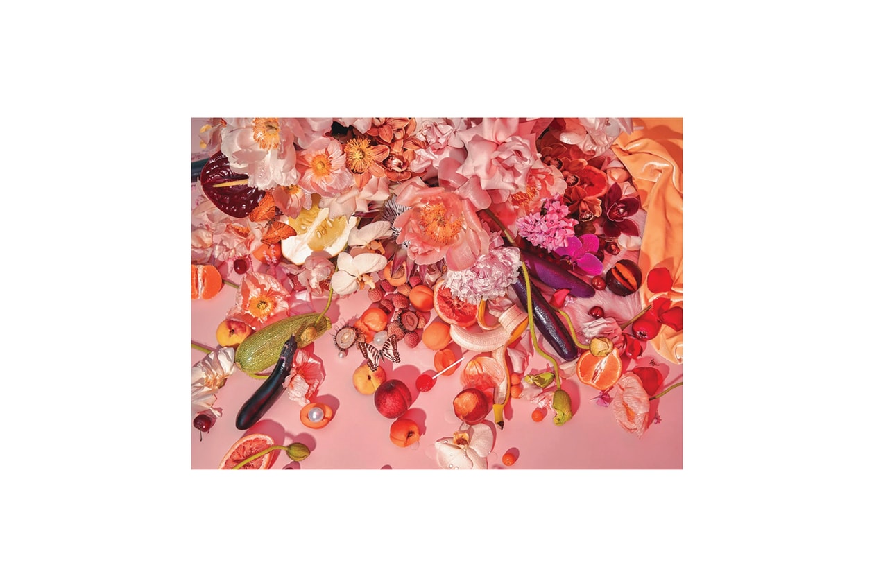 Piecework Puzzles Jigsaw Puzzle for Adults Aesthetic Beautiful Art Home Decor Tickled Pink Flowers Fruits Butterfly Carl Ostberg 500 1000 pieces