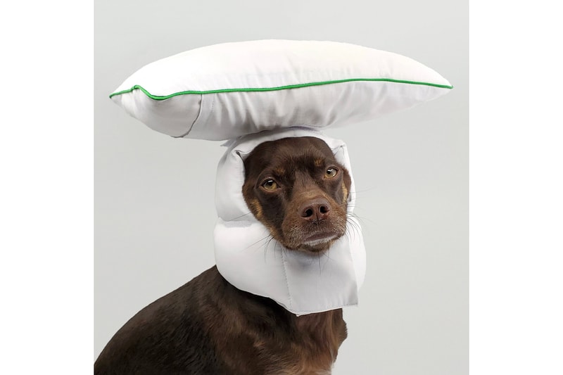 Between Two Naps Dog Wear Clothing Pet Brand Helmut Accessories Sleepover XL Rajeev Basu