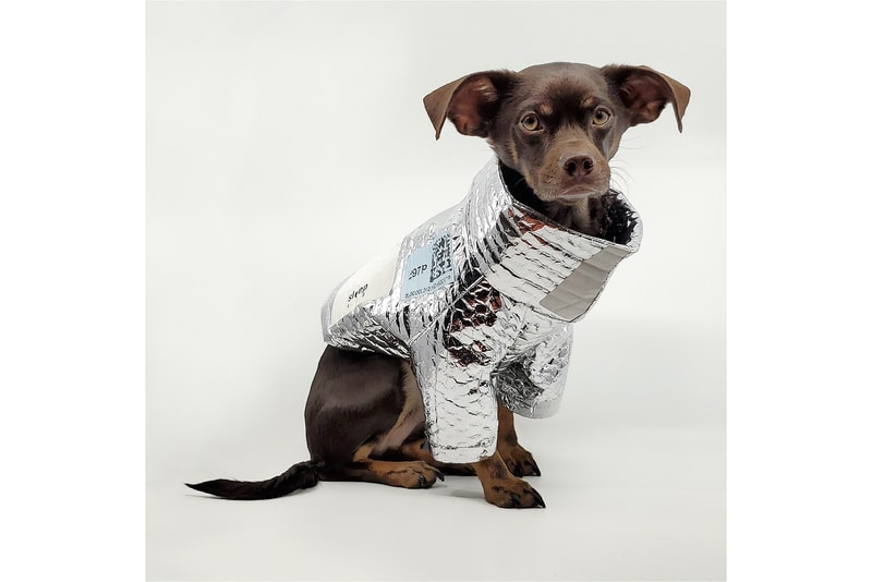 Between Two Naps Dog Wear Clothing Pet Brand Helmut Accessories Sleepover XL Rajeev Basu
