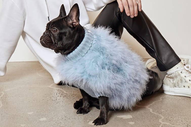 Christian Cowan x maxbone's Feather Dog Jumper Is the Perfect V-Day Gift for Your Pup