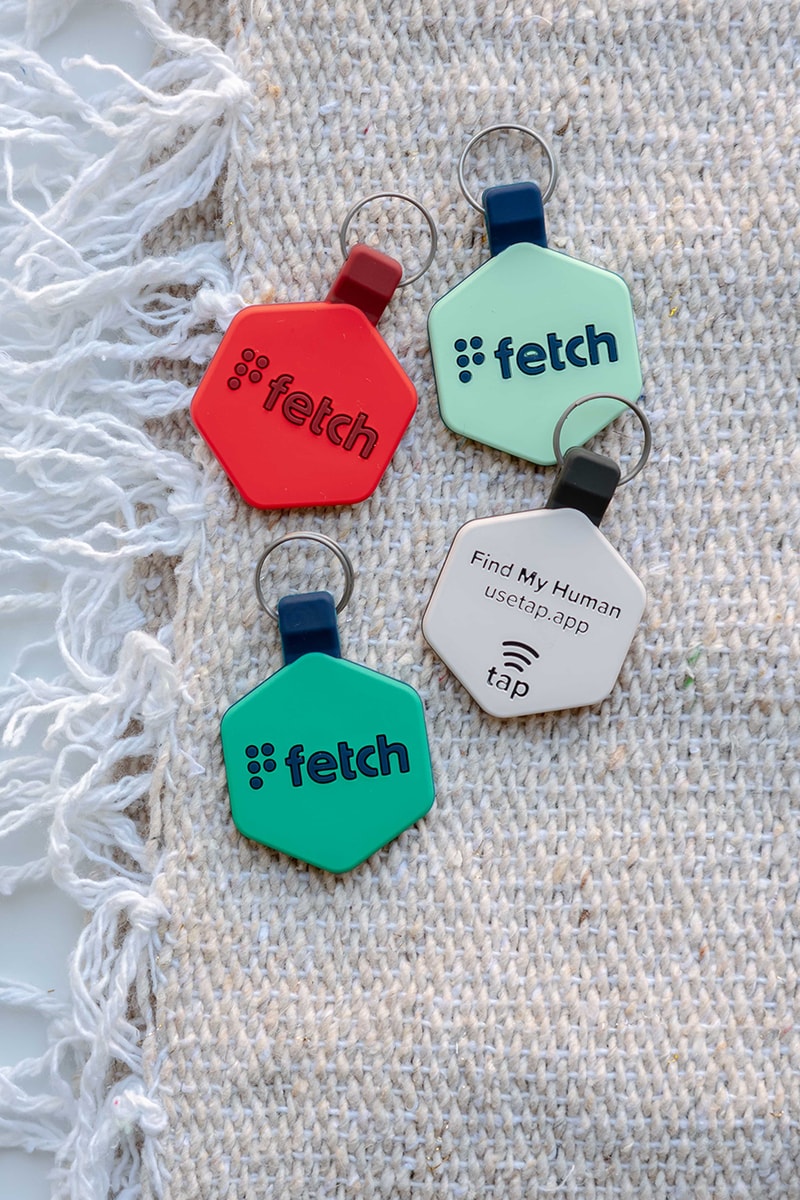 Fetch Dog Pet Tracker GPS ID Tag