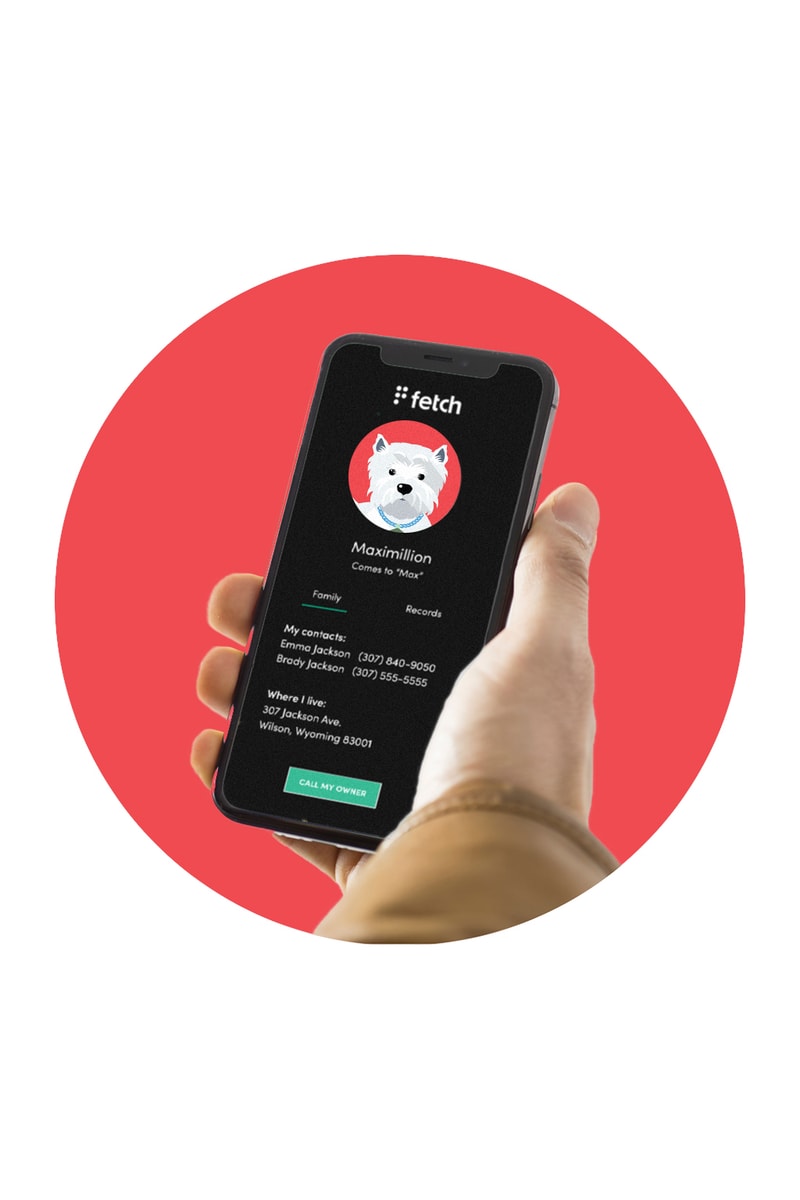 Fetch Dog Pet Tracker GPS ID Tag