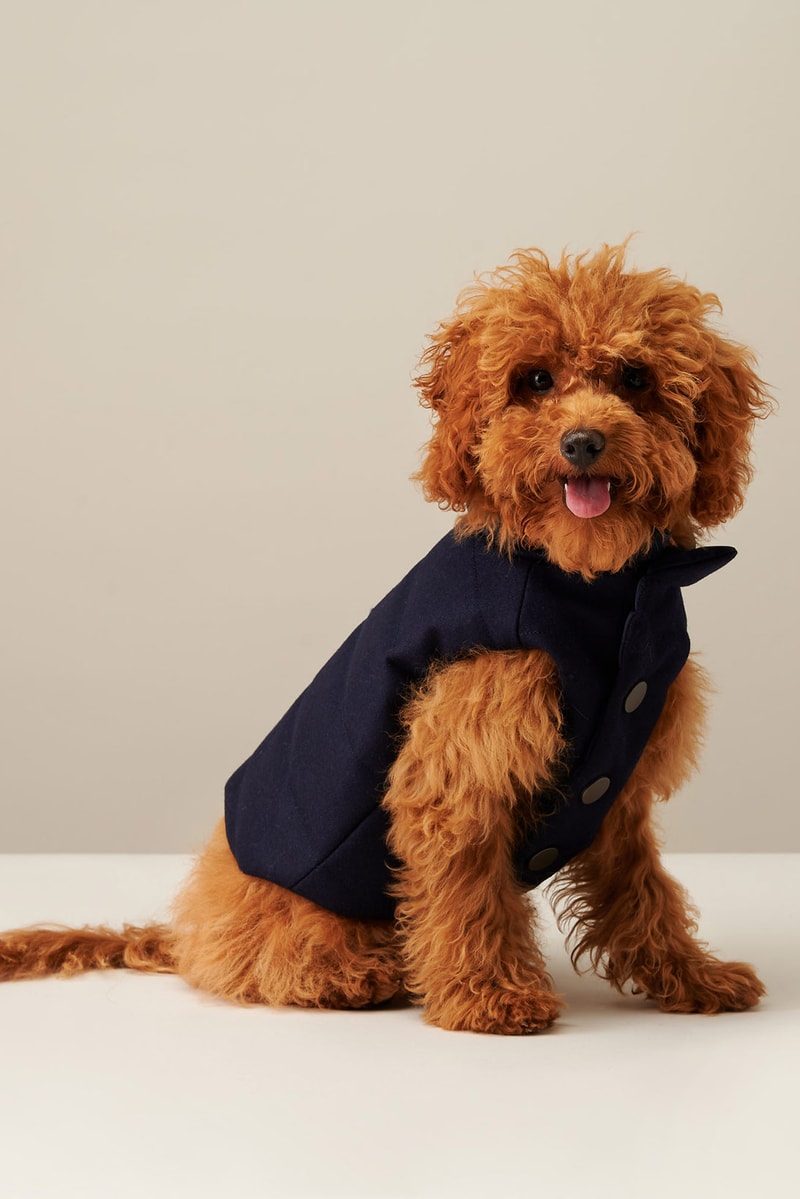 the barkers dog clothing accessories brand duke puffer vest navy blue side view
