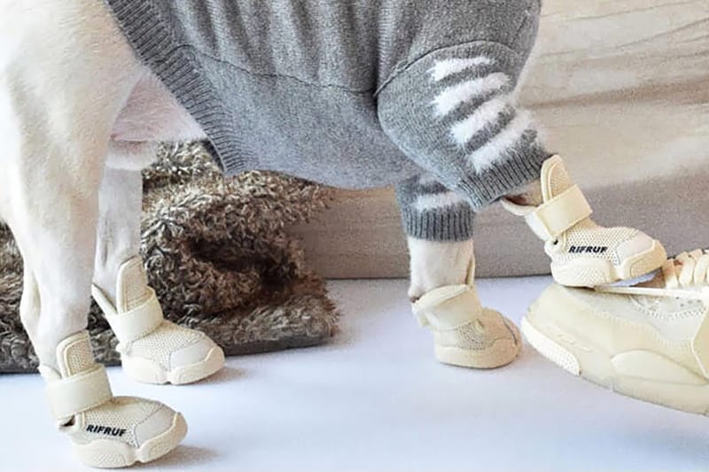 RIFRUF's Dog Sneakers Are Absolute Paw-Fection
