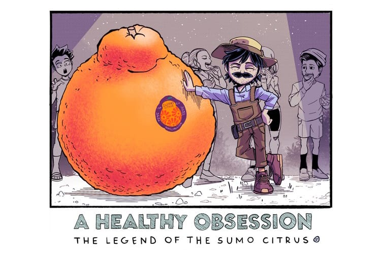The Story of Sumo Citrus®, Social Media's Favorite Fruit