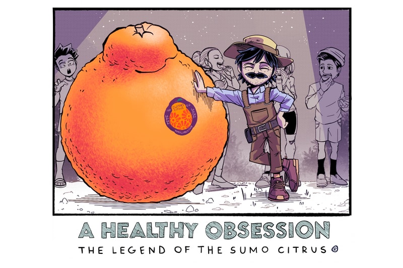 sumo citrus history manga inspired series chris metzner
