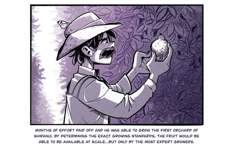 sumo citrus history manga inspired series chris metzner
