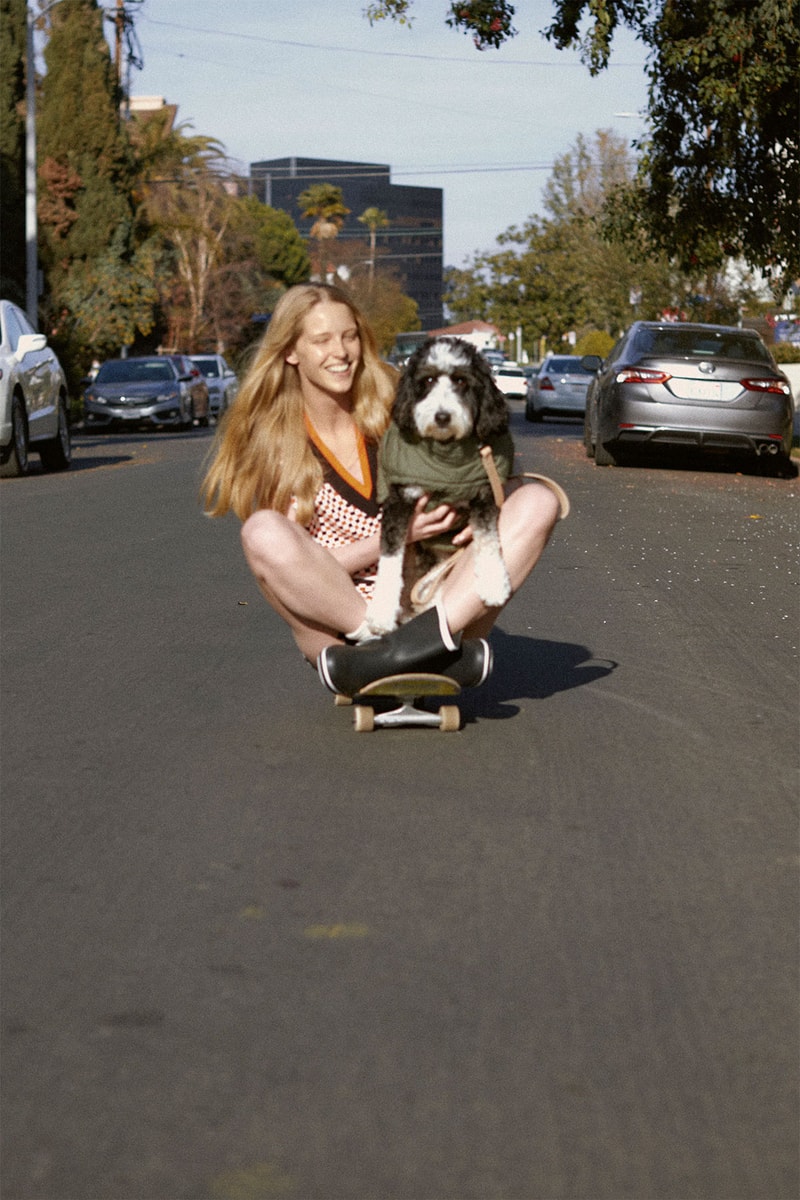 zara pets dogs collection coat skateboard