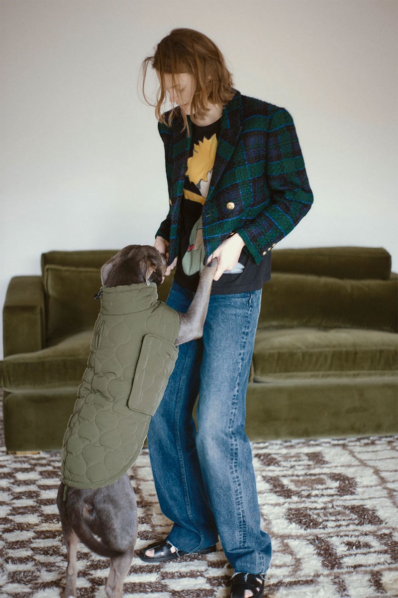 zara pets dogs collection coat khaki jeans jacket