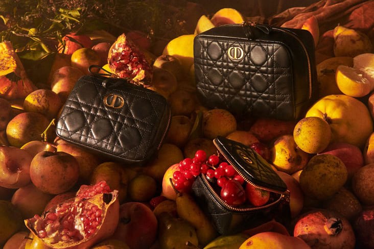 Dior Expands Cruise 2021 Caro Line With Small Accessories
