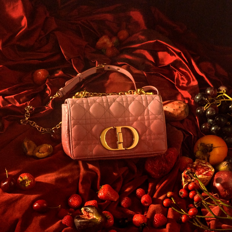 dior caro handbag small leather goods accessories pink pouch