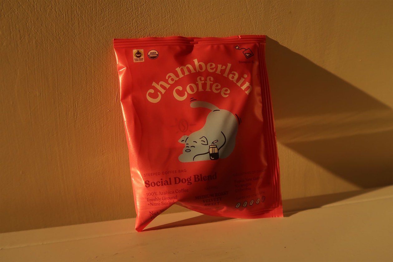 emma chamberlain coffee brand steeped bags social dog blend