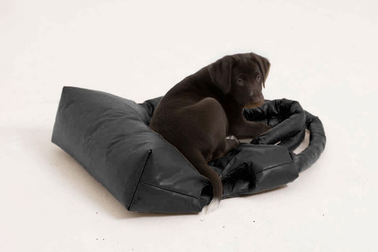 This Handbag Is Perfect for Transporting Your Dog