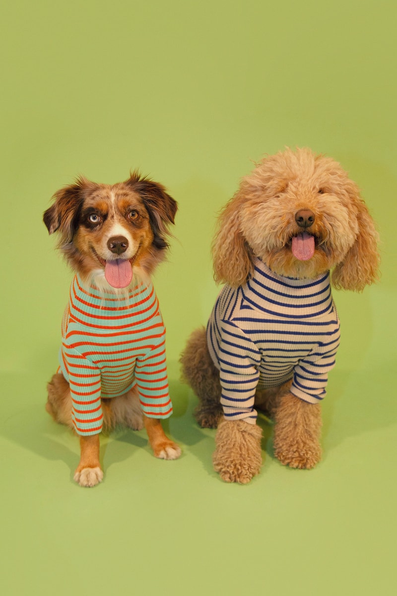 Little Beast Dog Clothing Cloud Sweater