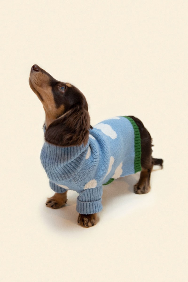 Little Beast Dog Clothing Cloud Sweater