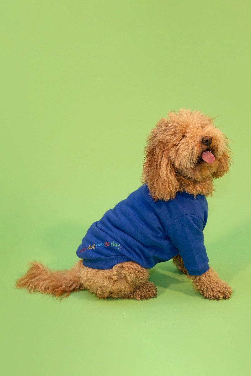 Little Beast Dog Clothing Cloud Sweater