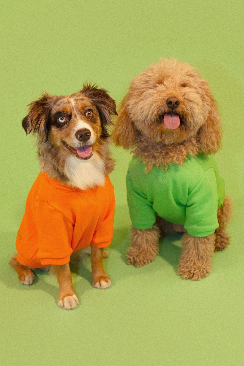 Little Beast Dog Clothing Cloud Sweater