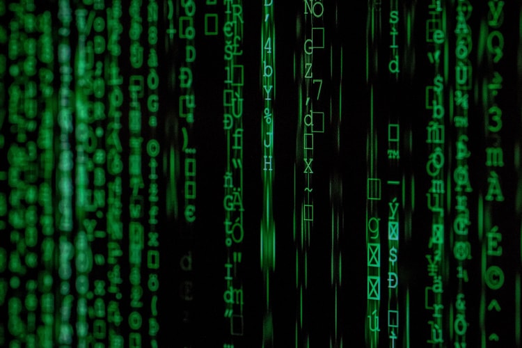 NFTs: A Guide to the Trending Blockchain Technology