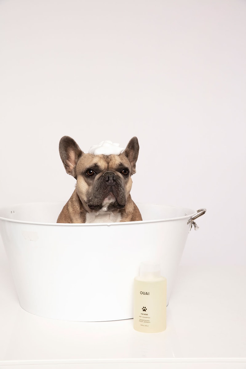 ouai fur bebe pet shampoo dogs sustainable