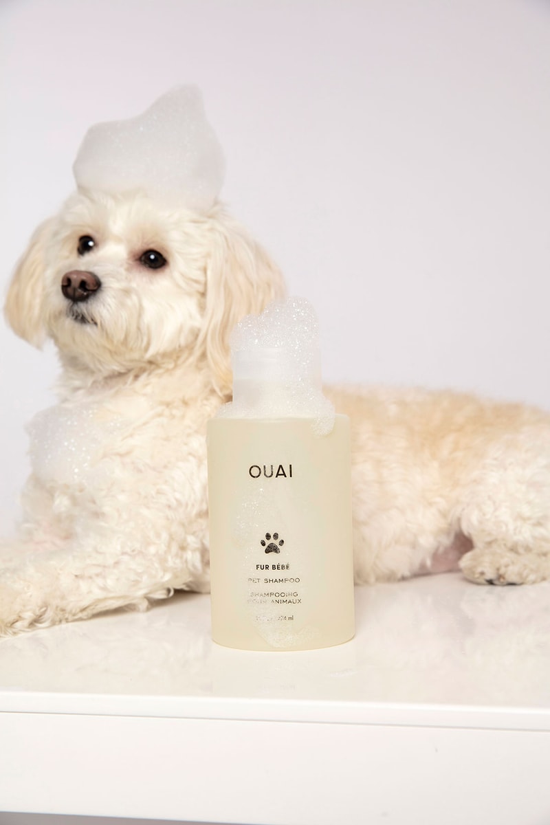 ouai fur bebe pet shampoo dogs sustainable
