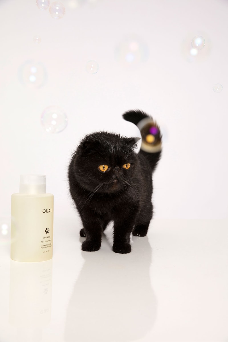 ouai fur bebe pet shampoo cats sustainable