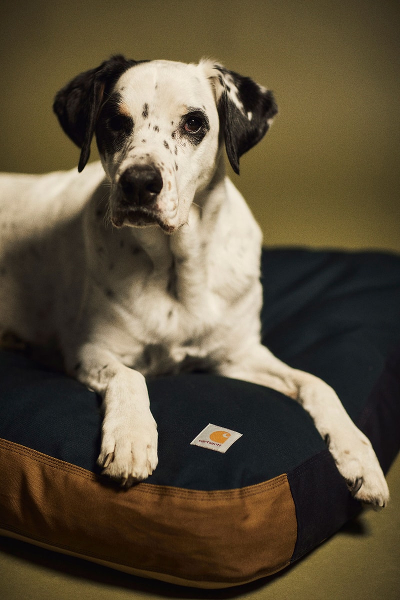 carhartt wip spring summer valiant program collection dog bed