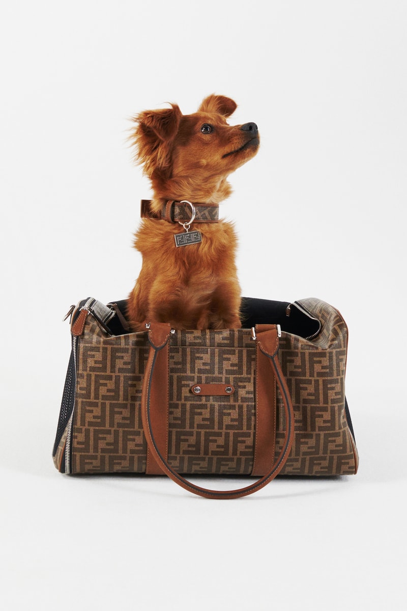 Fendi Dog Monogram Travel Collection Collar Pets Jacket Luxury Leash FF Logo Print