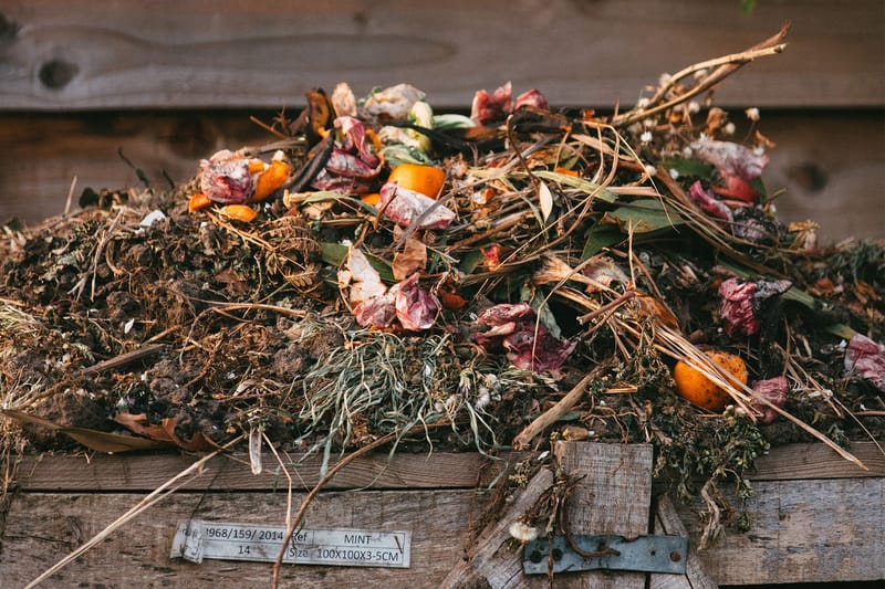 How To Compost at Home for a Sustainable Lifestyle