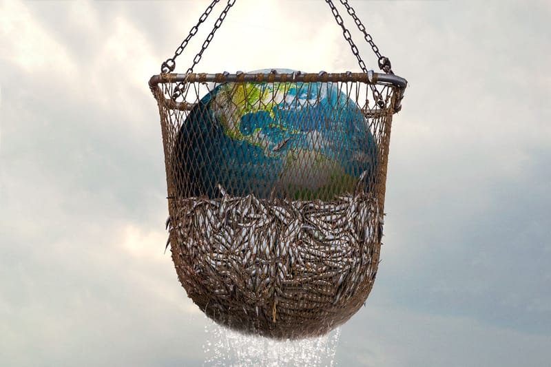 6 Eye-Opening Environmental Documentaries To Watch After Netflix's 'Seaspiracy'