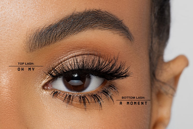 anastasia beverly hills abh norvina false lashes falsies top bottom vegan