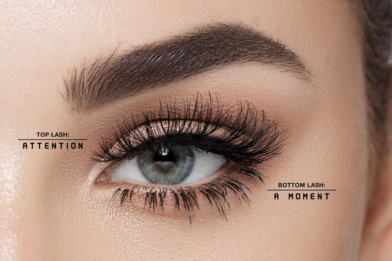 anastasia beverly hills abh norvina false lashes falsies top bottom vegan