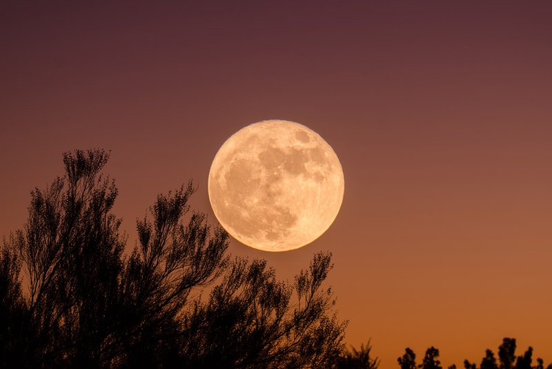 May Super Flower Blood Moon Supermoon Full Zodiac Signs Astrology Sky