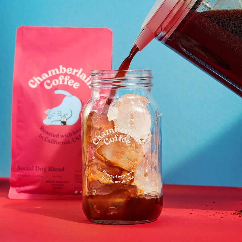 emma chamberlain cofee bodum brewing tools collaboration cold brew press