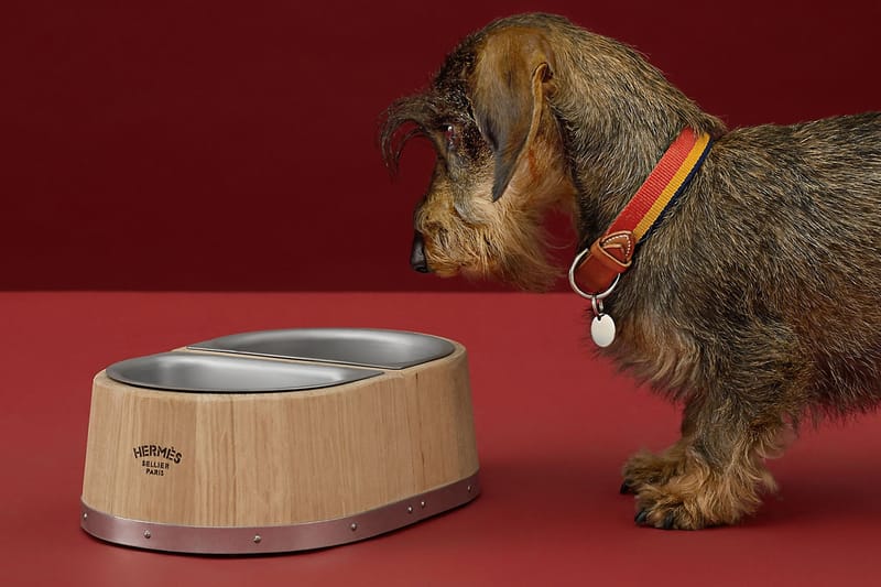Upgrade Your Pup's Meals With Hermès' Most Luxe Dog Bowl