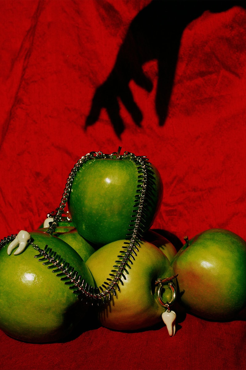 Twelve Jewelry Necklaces Earrings Bone Pendant Teeth Apples