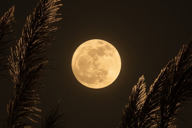 How the September Full Harvest Moon Affects Your Zodiac Sign