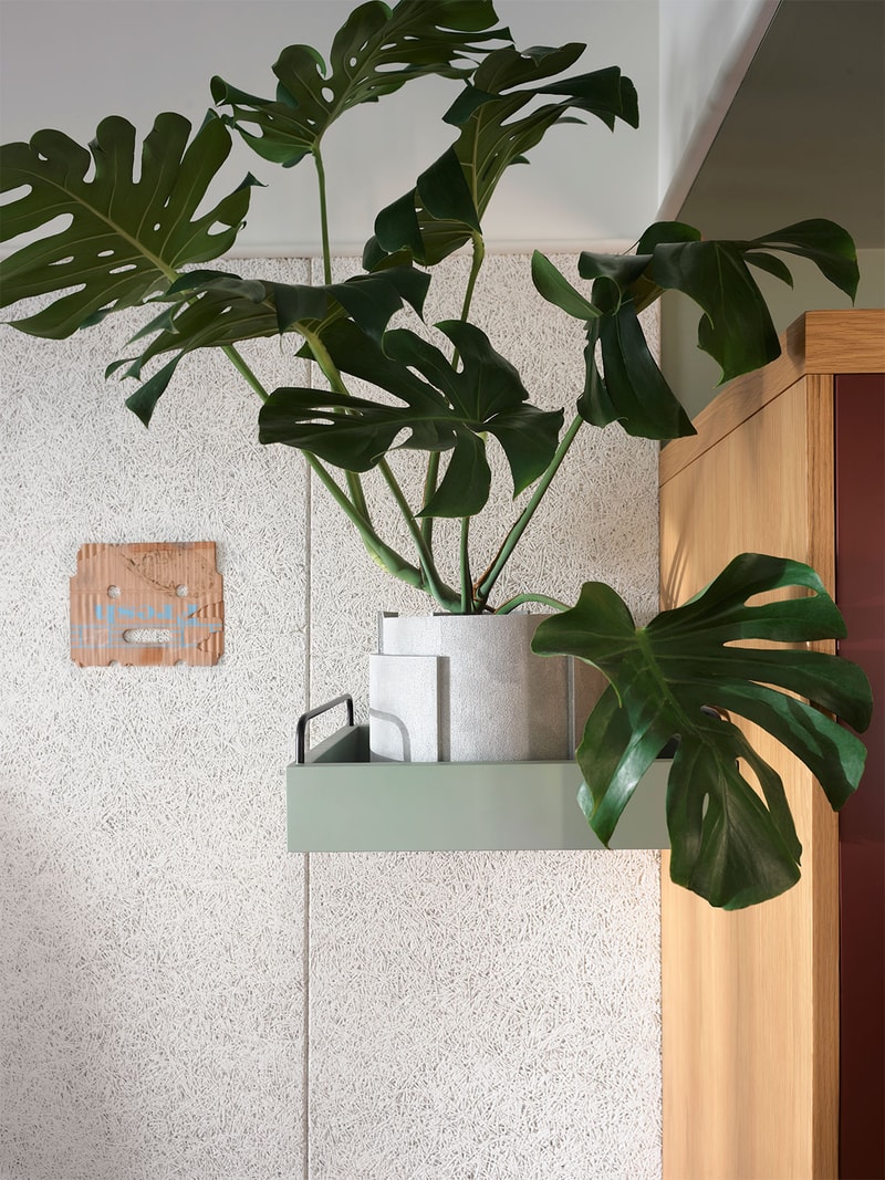 Ace Hotel Sydney Australia Interior Plants Wall