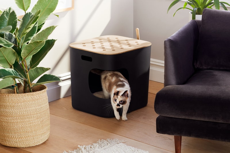 Jason Wu Cat Person Collection Collaboration Litter Box