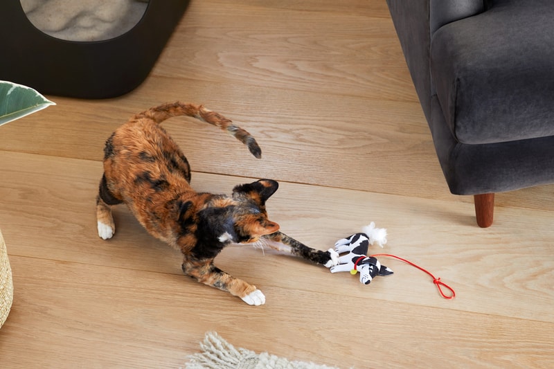Jason Wu Cat Person Collection Collaboration Catnip Pounce Toy