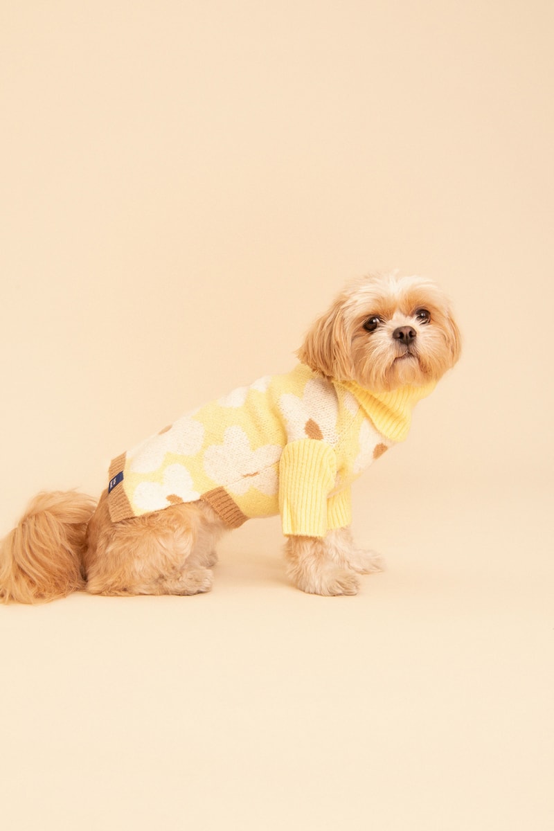 Little Beast Fall Pet Collection Onesies Dog Sweater Yellow Green