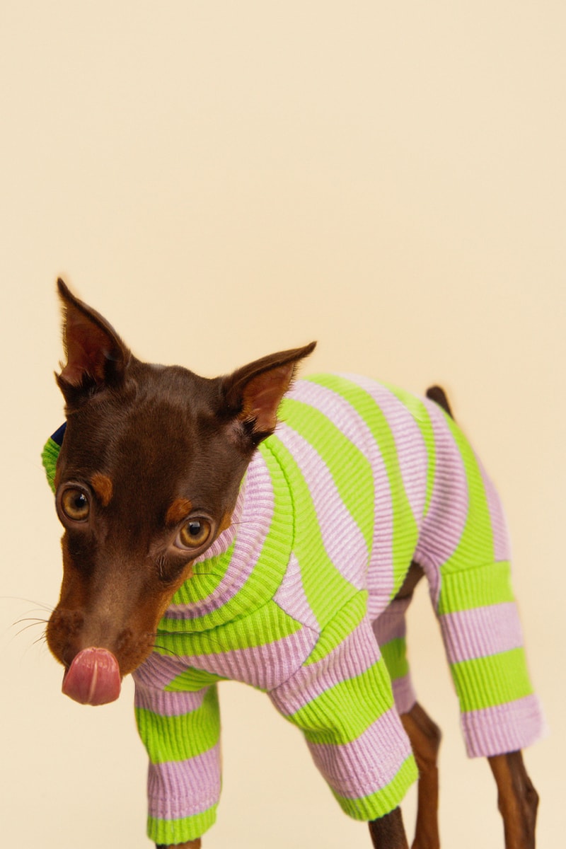 Little Beast Fall Pet Collection Onesies Dog Sweater Yellow Green