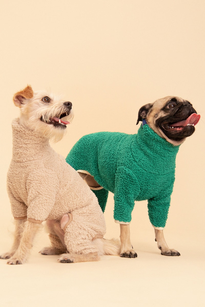 Little Beast Fall Pet Collection Onesies Dog Sweater Yellow Green