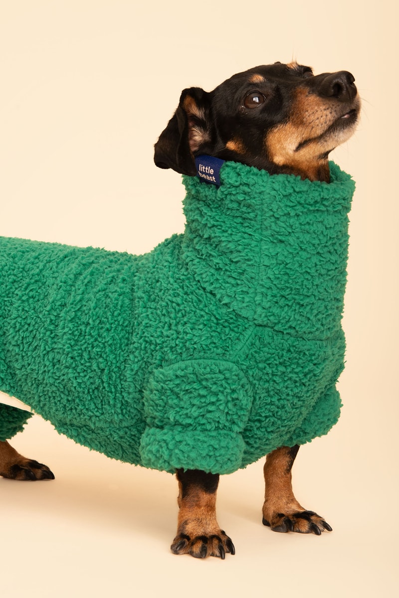 Little Beast Fall Pet Collection Onesies Dog Sweater Yellow Green