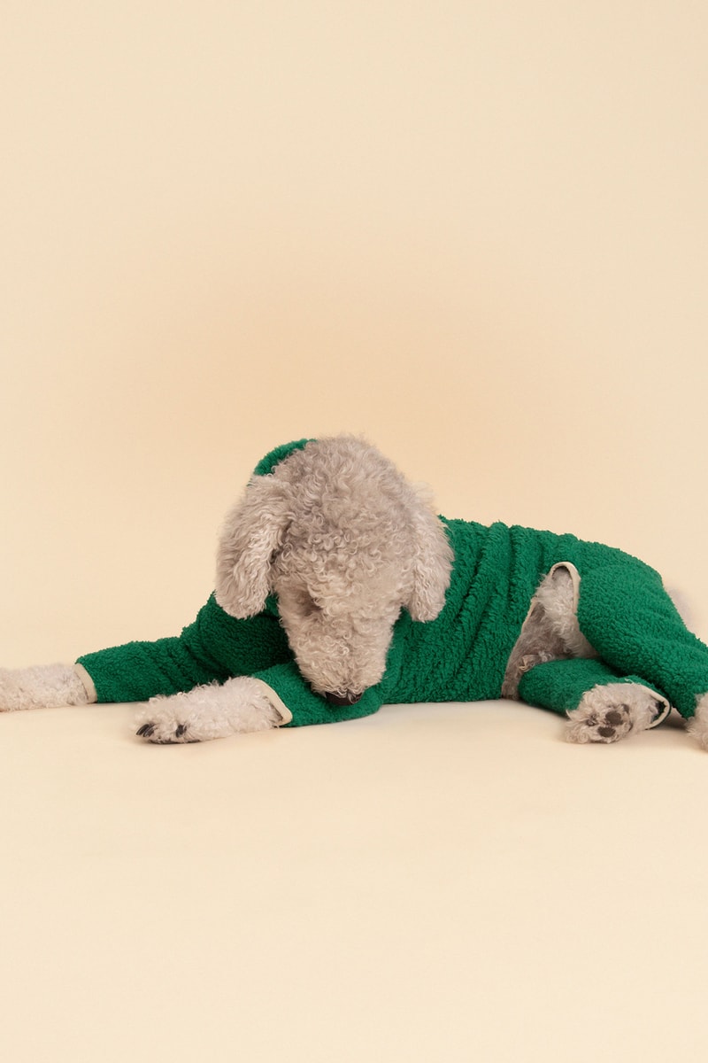 Little Beast Fall Pet Collection Onesies Dog Sweater Yellow Green