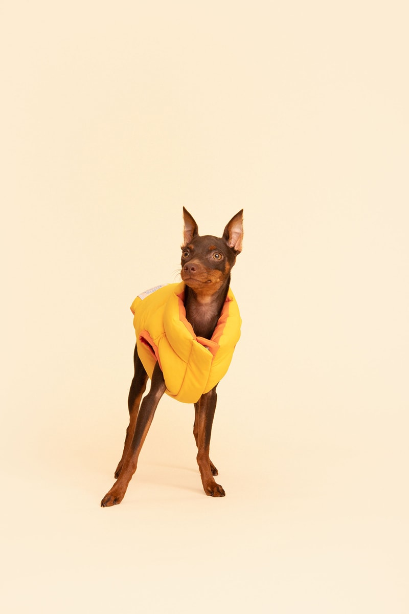 Little Beast Fall Pet Collection Onesies Dog Sweater Yellow Green