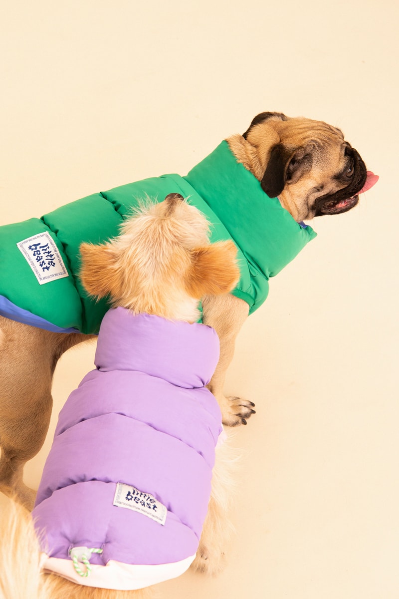 Little Beast Fall Pet Collection Onesies Dog Sweater Yellow Green
