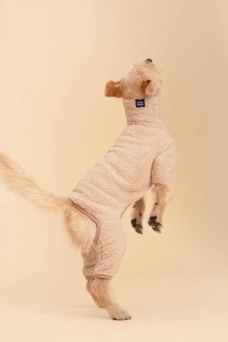Little Beast Fall Pet Collection Onesies Dog Sweater Yellow Green