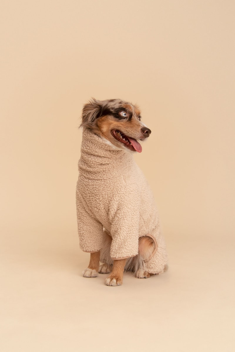 Little Beast Fall Pet Collection Onesies Dog Sweater Yellow Green