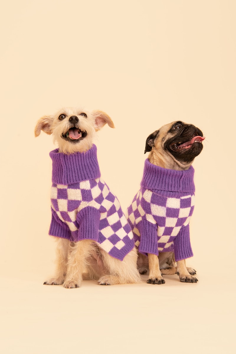 Little Beast Fall Pet Collection Onesies Dog Sweater Yellow Green