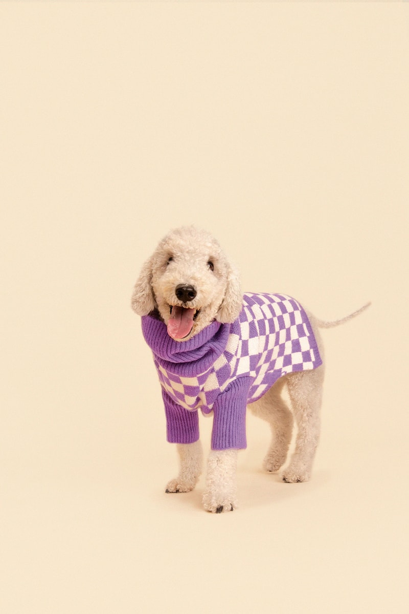 Little Beast Fall Pet Collection Onesies Dog Sweater Yellow Green